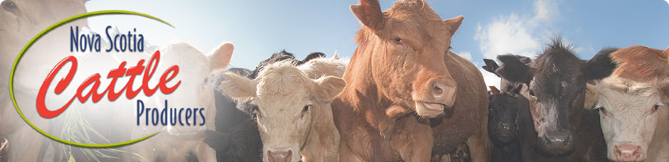 Nova Scotia Cattle Producers